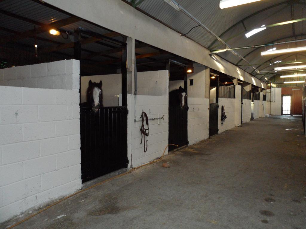 Bed and Breakfast The Stables - Deer Park Farm Solihull Exterior foto